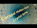 Carapal hidden secret