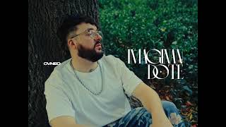 Cvneo - Imaginandote Visualizer Ekidad