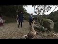 Goose walking 1