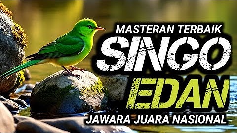 MASTERAN TERMEWAH SINGO EDAN FULL TEMBAKAN !! TERAPI UNTUK SEMUA JENIS BURUNG, SUARA GEMRICIK AIR