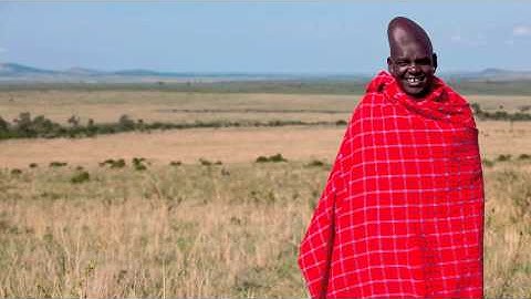 Modular   Moog Safari