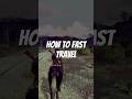 Red Dead Redemption 1 - Fast Travel