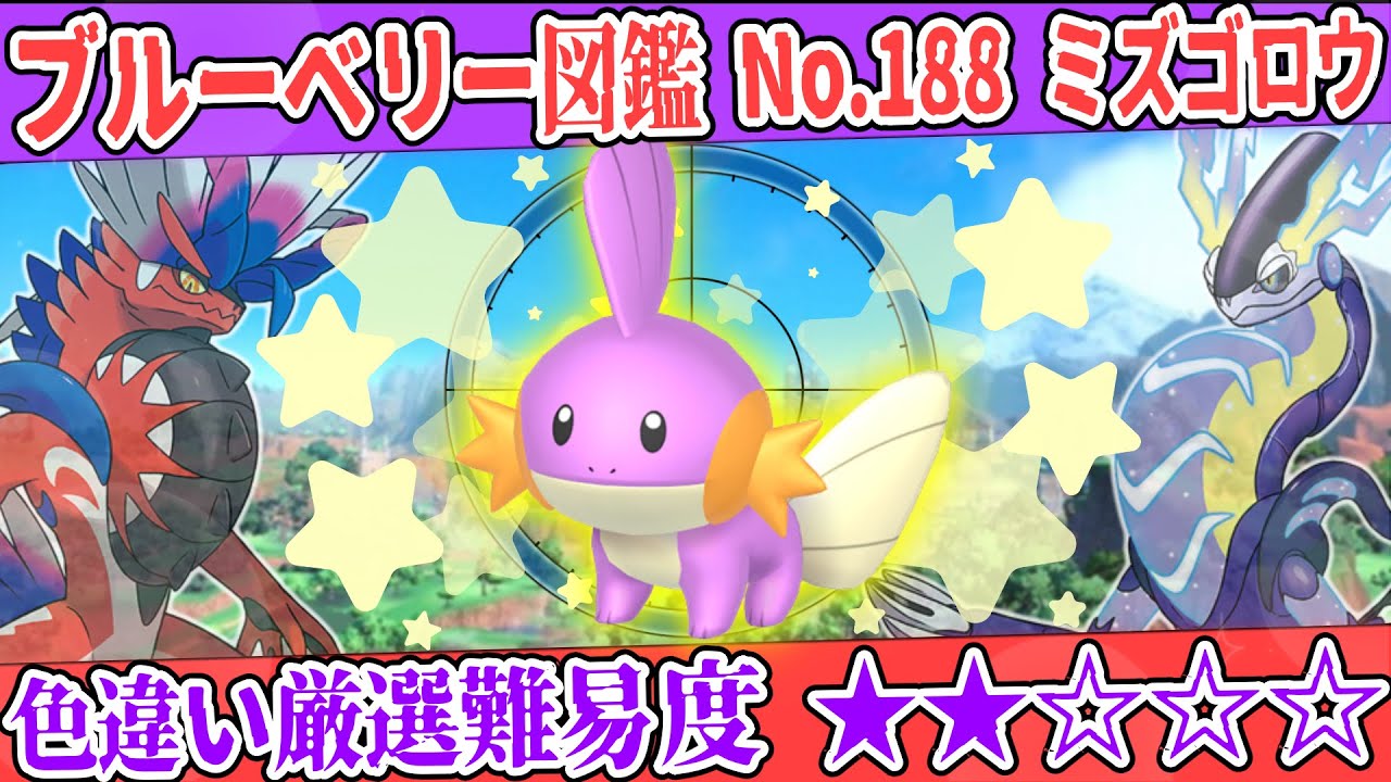 PSA9鑑定済〕ミズゴロウ☆(1ED)【☆】{033/084} 【ARS AU 真贋鑑定】