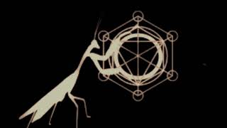 Rattan Ring Flow Challenge