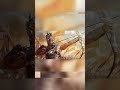 Baahubali Edit Mashishmati Samrajyam Baahubali Anthem Jal Rahi Song Baahubali Baahubali3 Baahubali Edit Mashishmati Samrajyam Baahubali Anthem Jal Rahi Song Baahubali Baahubali3