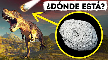 ¿Qué sobrevivió al asteroide que mató a los dinosaurios?