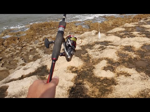 דייג 2020 משנה מקום משנה מזל טונית בזריקה ראשונה ultralight fishing for tuna