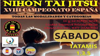 XVIII CAMPEONATO DE ESPAÑA NIHON TAI-JITSU. Jornada de sábado, tatamis 1,3,5.