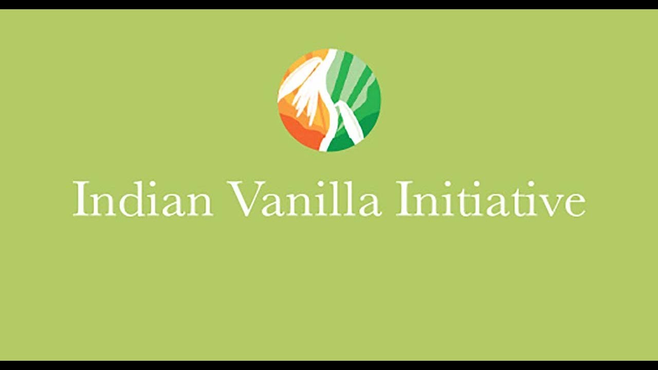 Indian Vanilla Initiative YouTube