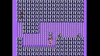 Super Mario Bros. 2 (NES) - The Glitch