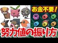 【ポケモンSV】2分で解説、努力値振りのすべてを教えます！【対戦】