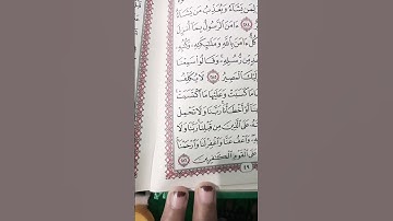 #قران_كريم #قرآن #سورة_البقرة  لا يكلف الله نفسا الا وسعها...... ❤