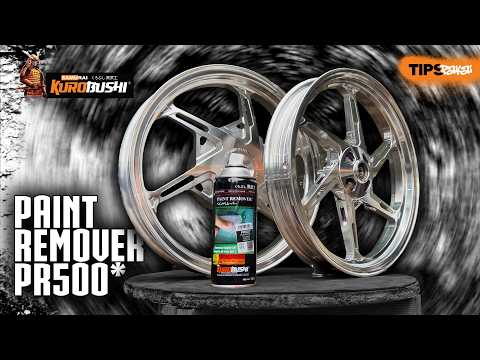 Zep Automotive Paint Remover Spray