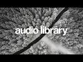 Snowfall Scott Buckley No Copyright Music 