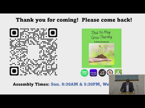 Video preview