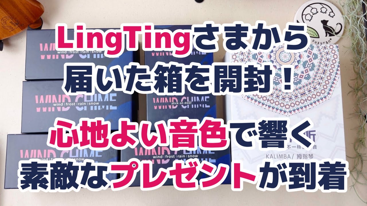 LingTingさまより大きめの箱が到着しました！中身がわからないまま