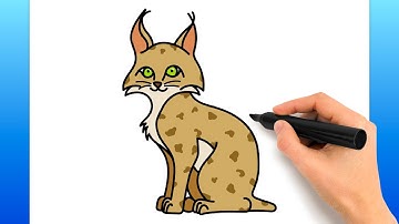 How To Draw A Lynx (Easy Drawing Tutorial)