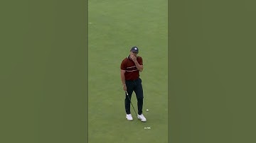 Rory asked the referee to help silence the crowd #shorts #golf #rydercup