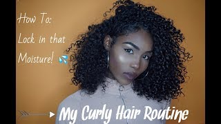 My Curly Hair Routine (How To: Lock in that moisture!)