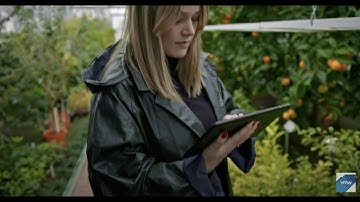 Desktop Virtualization Extends the Boundaries of the Digital Campus at the CZU