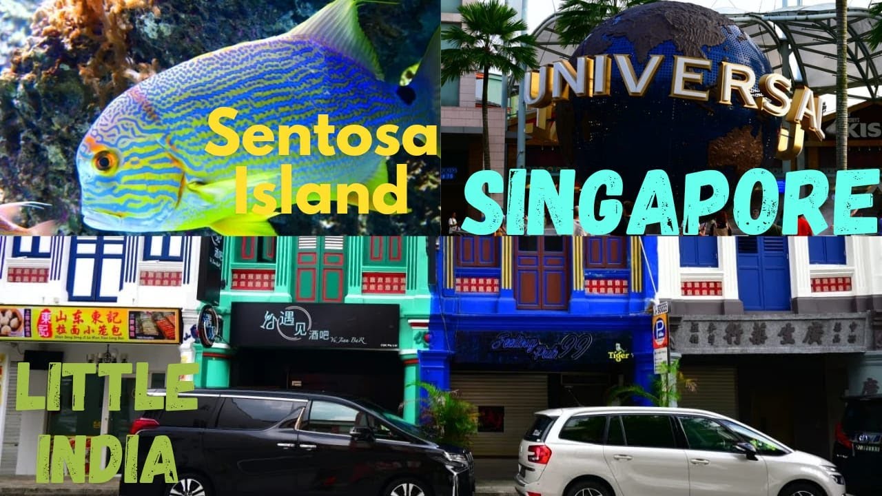 @bhramanti_live Little India | Sentosa Island | Sea aquarium| Wings of Time