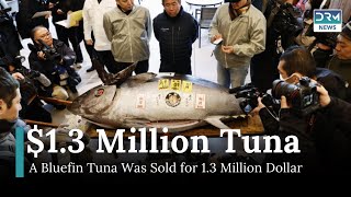 Record-Breaking Tuna Sells for $1.3 Million at Japan's New Year Auction | DRM News | AQ1I