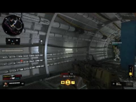 【CoD:BO4】味方じわる