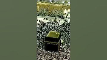 تلاوة خاشعة للشيخ سعود الشريم