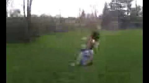 Momo Gets Dragged by a Moped
