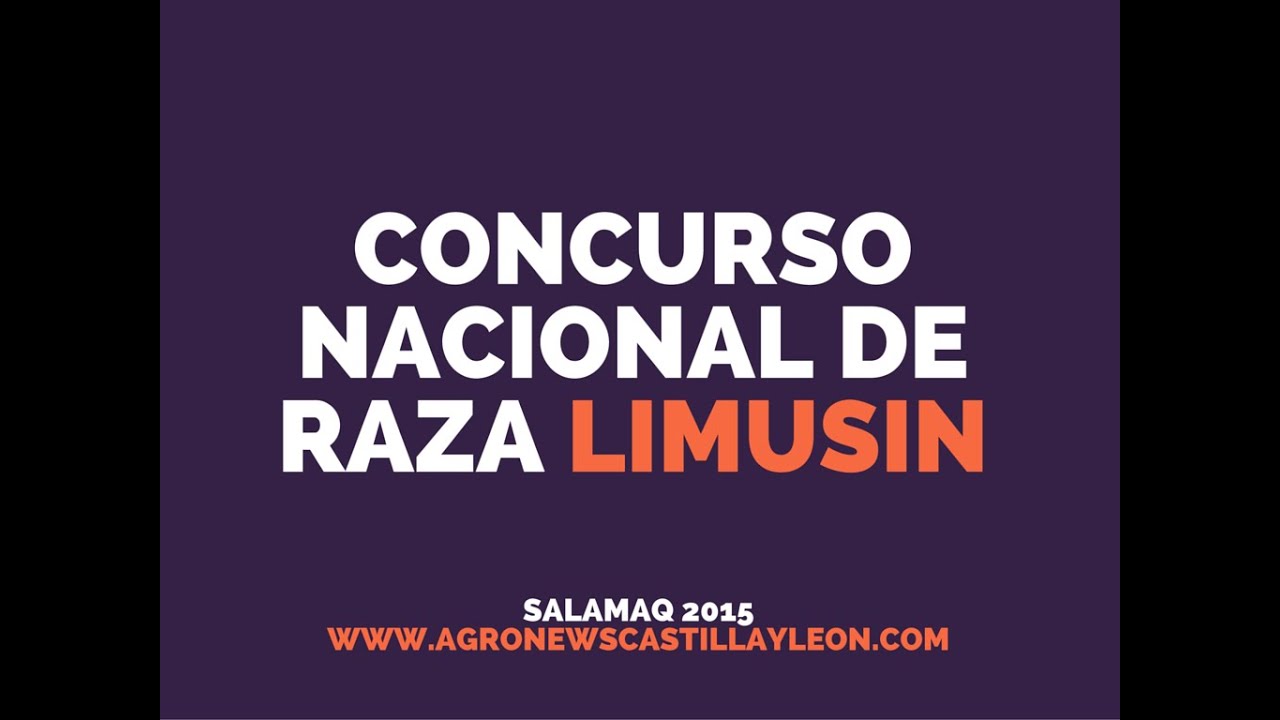 Concurso Nacional de raza Limusin de SALAMAQ 2015