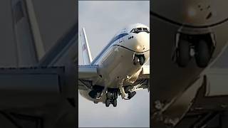 Guess The Airplane シ