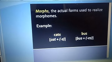 morphs and allomorphs