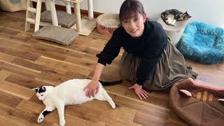 I was rejected by the cat I rescued. - YouTube