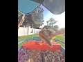 #cardinal #backyardwildlife #birdfeedercamera #soundsofnature #birdwatching #birds #mourningdove