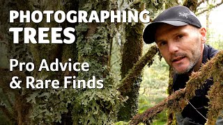 Photographing Trees with Simon Baxter - Pro Advice &amp; Rare Finds