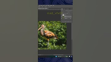 How to Add Blur Effect in Photoshop #photoshop #shortvideo #shorts #viralvideo #tipsandtricks
