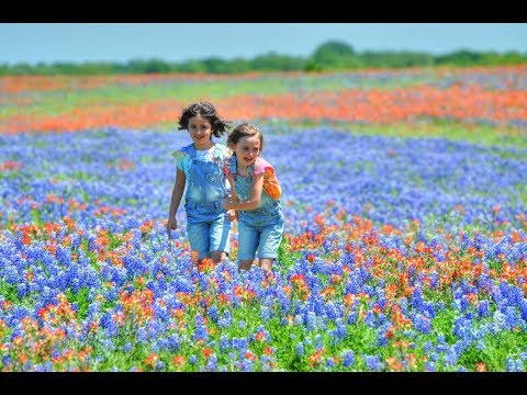 Video: Texas Wildflower Saison Beginnt - Matador Network