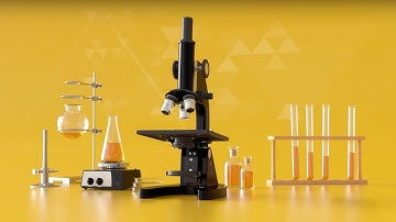 Cat® Filters | Take a Closer Look