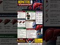 🦠 Hepatitis B