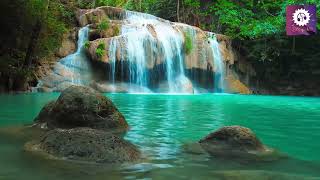 Soft Music Relaxing, Calm   Nature Relaxa screenshot 3