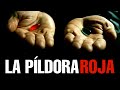 🔴 La Píldora Roja - El Mensaje de Matrix 💊