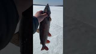 Хадан❤️быйыт подледка🎣