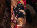 Radhe Radhe ji #bakebihari #radhekrishnaserial #love #music #greaterfaridabad #song