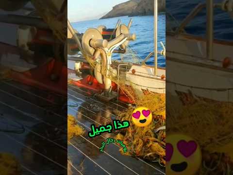 شوفو قوة هذه الآلة في سحب شباك الصيد من البحر