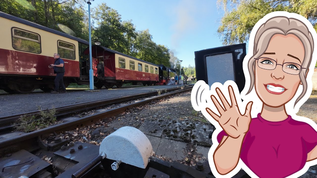 Selketalbahn zwischen Alexisbad und Harzgerode  -  auf schmaler Spur im Harz #34