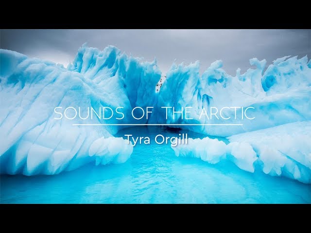 SOUNDS OF THE ARCTIC - Relaxing Winter Music & Arctic Sounds - Background Music, Sleep Music ✦ 2 class=