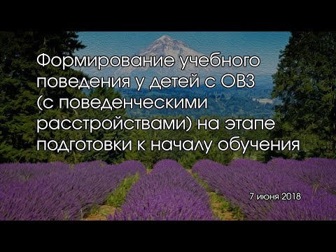 Формирование учебного поведения у детей с ОВЗ (с поведенческими расстройствами) на этапе подготовки