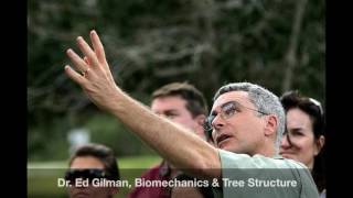 Structural Pruning Tour