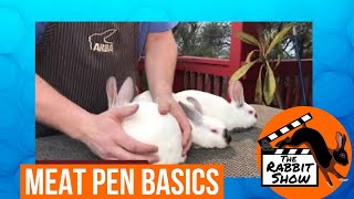 Rabbit Meat Pen Basics