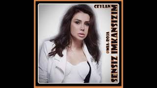 Ceylan / sensiz imkansizin / Hastayim sana 2 Resimi